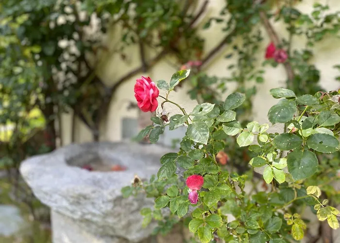 Apartamento Spacieux 8 Pers. Avec Cheminée à Argentière - Fr-1-343-270 Chamonix